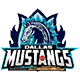 Dallas Lonestars CC