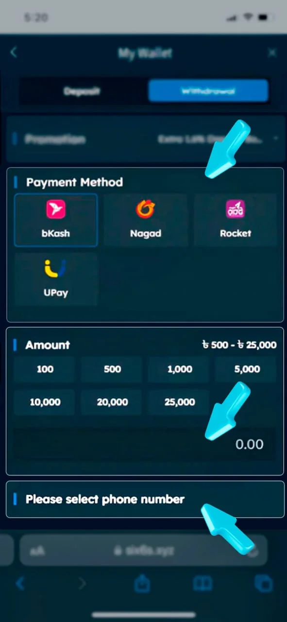 Enter the details required to withdraw funds from your Six6s account.